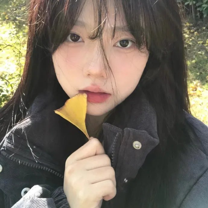 仙后座